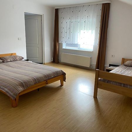 Casa Erika Apartman Szászsebes Kültér fotó