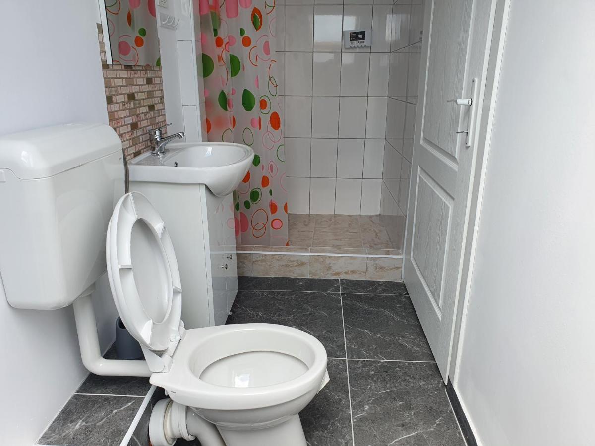 Casa Erika Apartman Szászsebes Kültér fotó